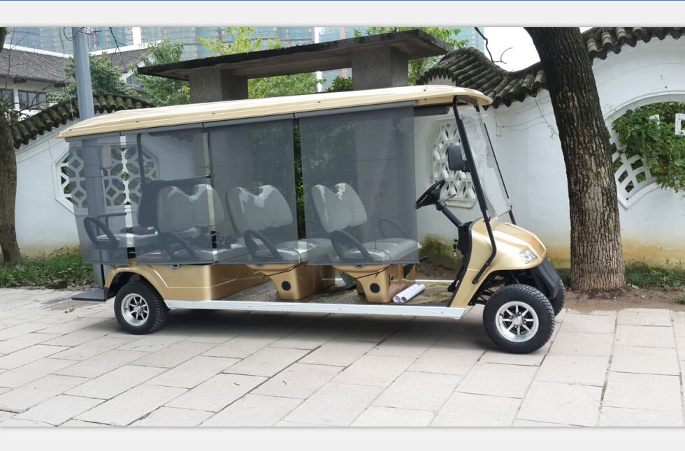 大诚金廷电动高尔夫球车