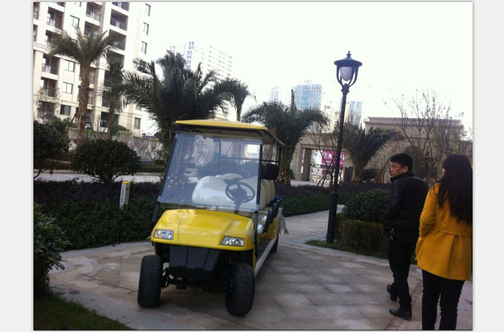 置信地产电动高尔夫球车